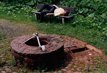 gees.jpg (43193 Byte)